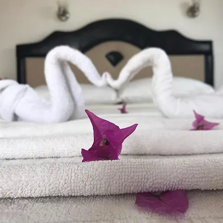 Uygar Otel 3*