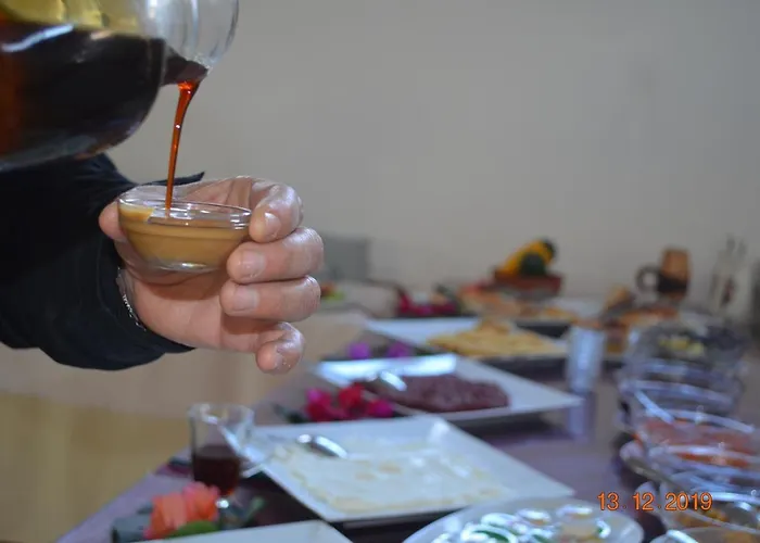 乌戈尔酒店 酒店 费特希耶