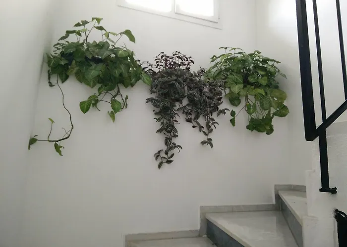 乌戈尔酒店 费特希耶