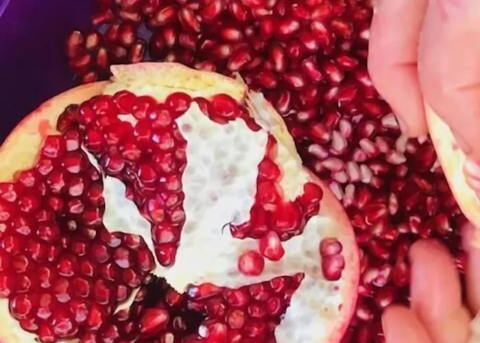 酒店 乌戈尔酒店 费特希耶