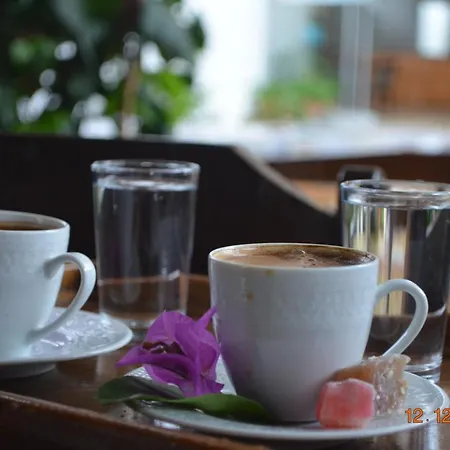 اويغار فندق 3*