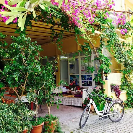 اويغار فندق 3*