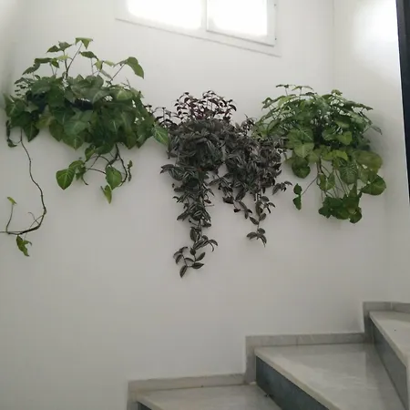 Uygar Φετιγιέ