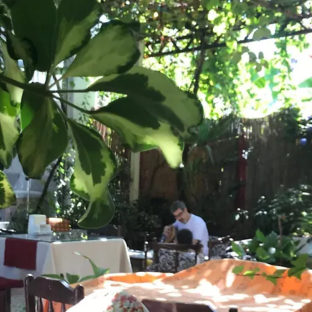 Uygar Ξενοδοχείο 3*