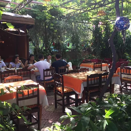 اويغار فتحية