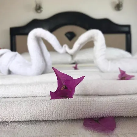 اويغار فتحية