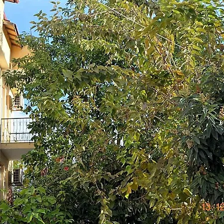 Uygar Hotel Fethiye